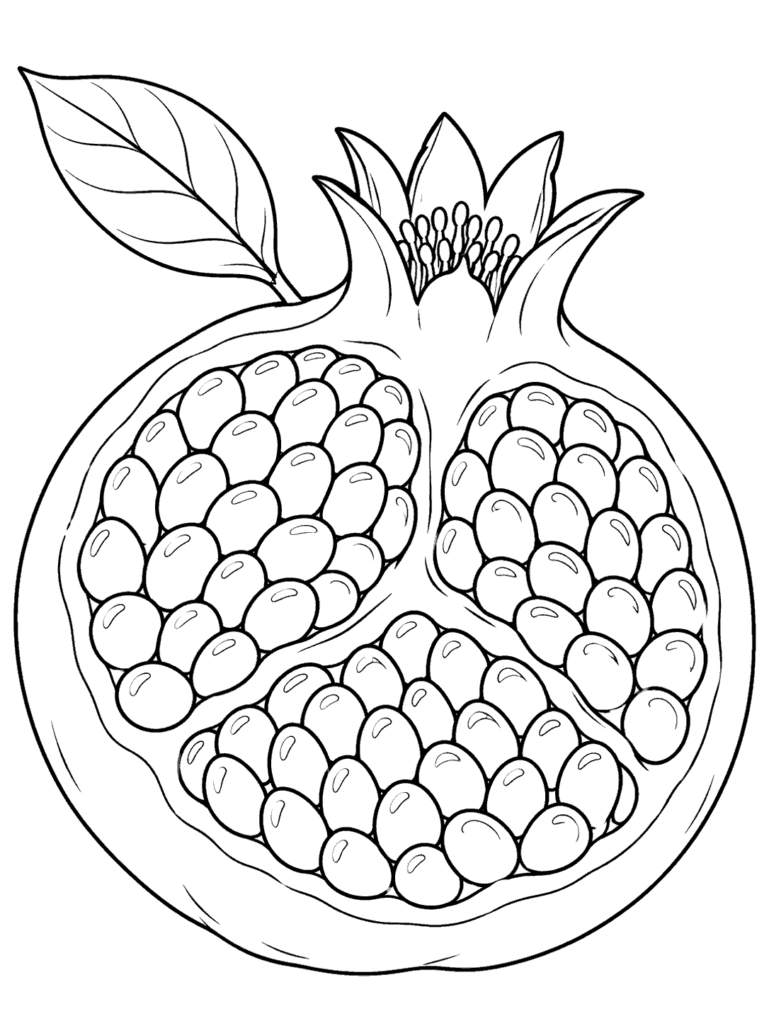 Opened pomegranate with rows of seeds and one leaf