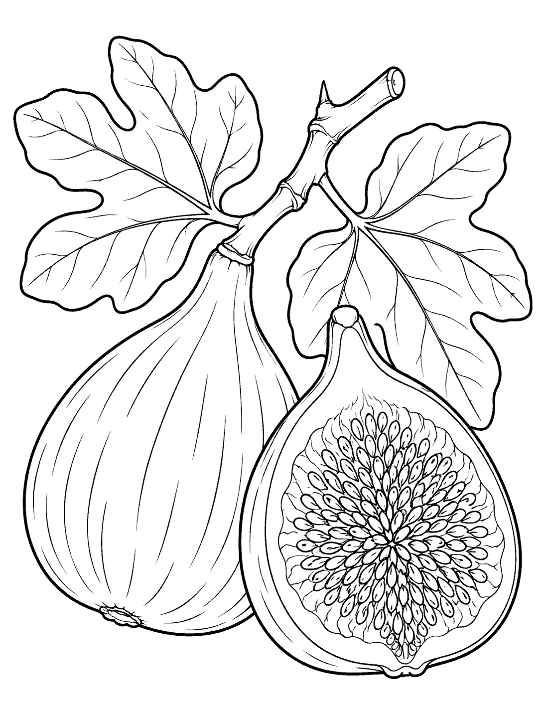 One whole fig and one cut fig with a detailed seed pattern and broad leaves.
