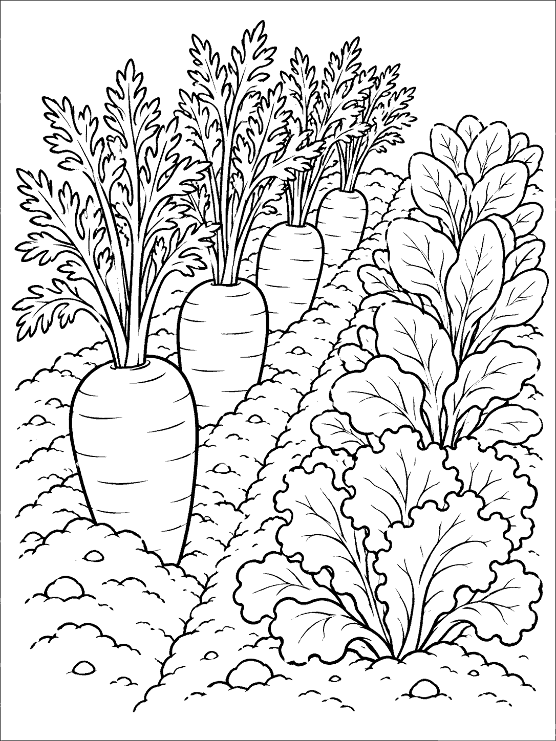 Black ink coloring page showing three partly exposed carrots with leafy tops beside rows of leafy greens, surrounded by textured soil.