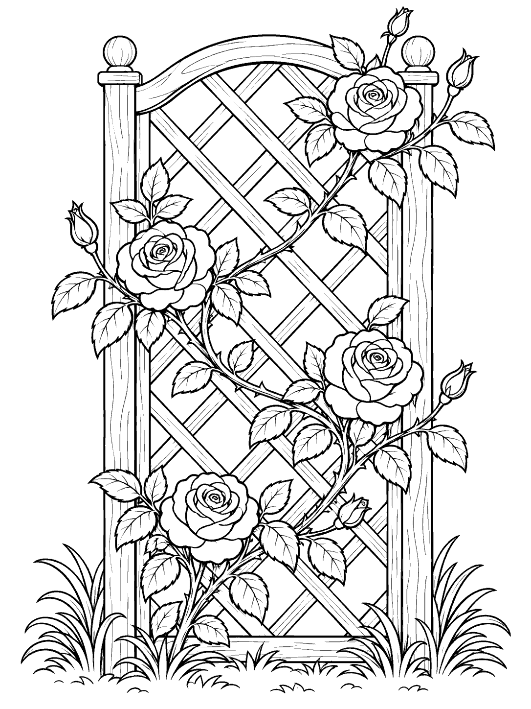 Black line art of a wooden garden trellis with a diagonal climbing rose vine, four open roses, buds, and leaves, framed by grass.