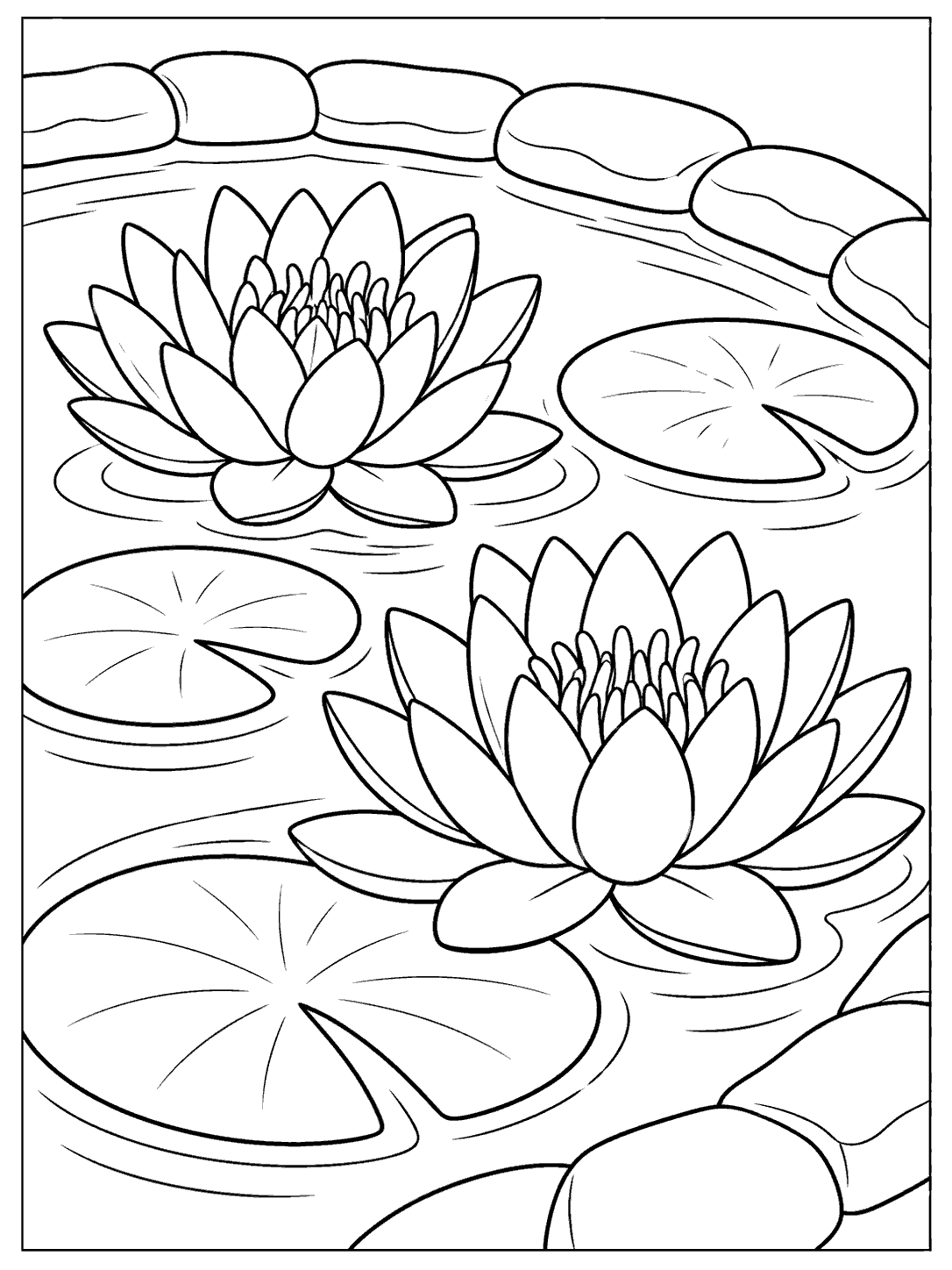 Portrait coloring page of two large water lilies and several lily pads on a garden pond, bordered by curved stones.