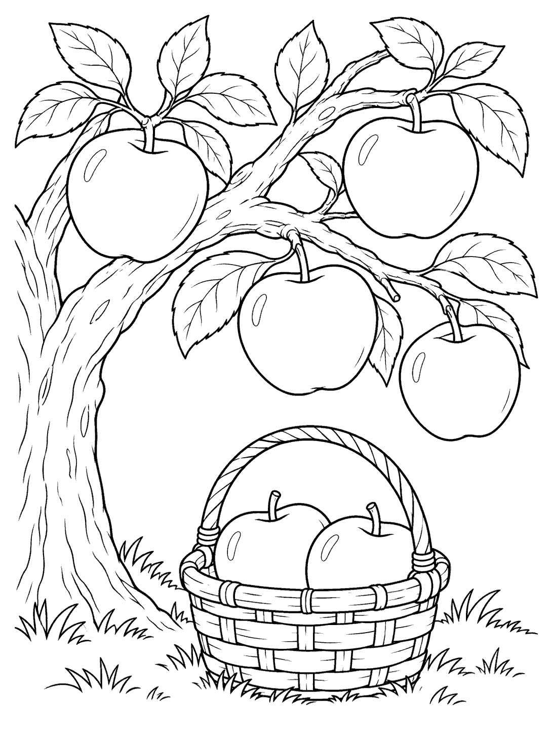 Black ink garden coloring page showing four apples on a sturdy leafy tree branch and two apples inside a woven basket below.