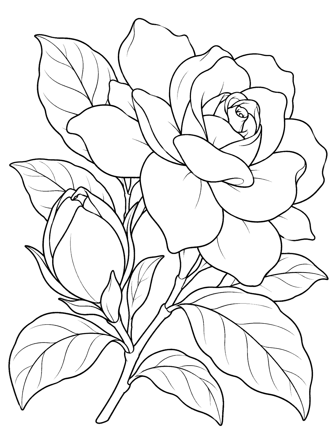 Gardenia coloring page showing a closed bud beside a layered bloom on a leafy stem.