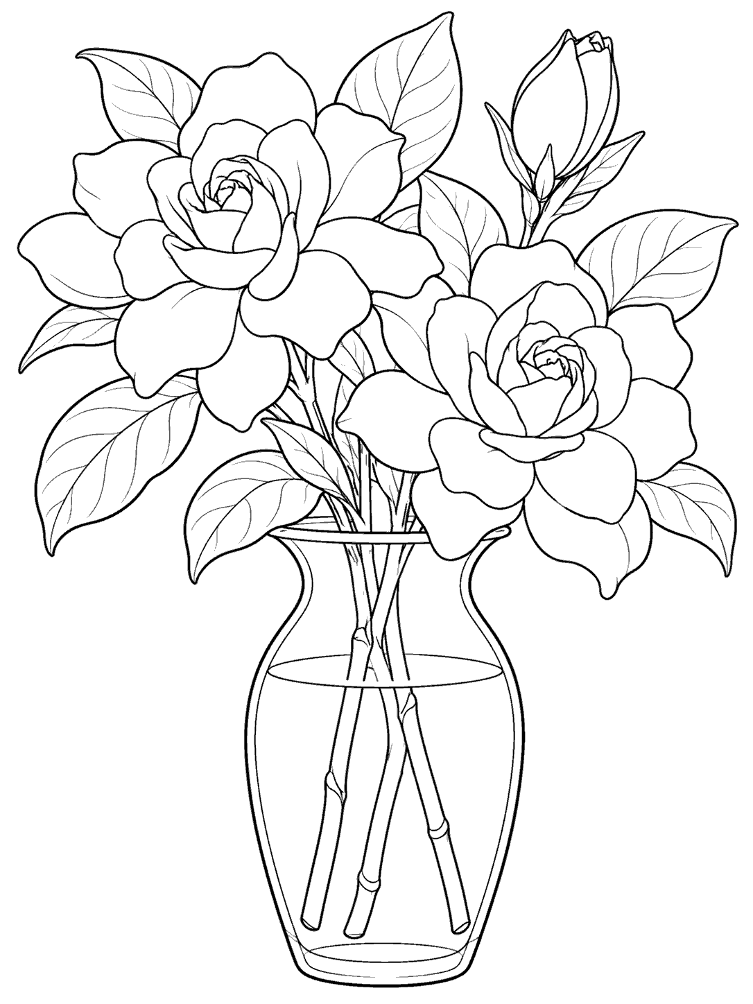 Black line art of two gardenia blooms, one bud, and broad leaves arranged in a clear vase on a printable coloring page.