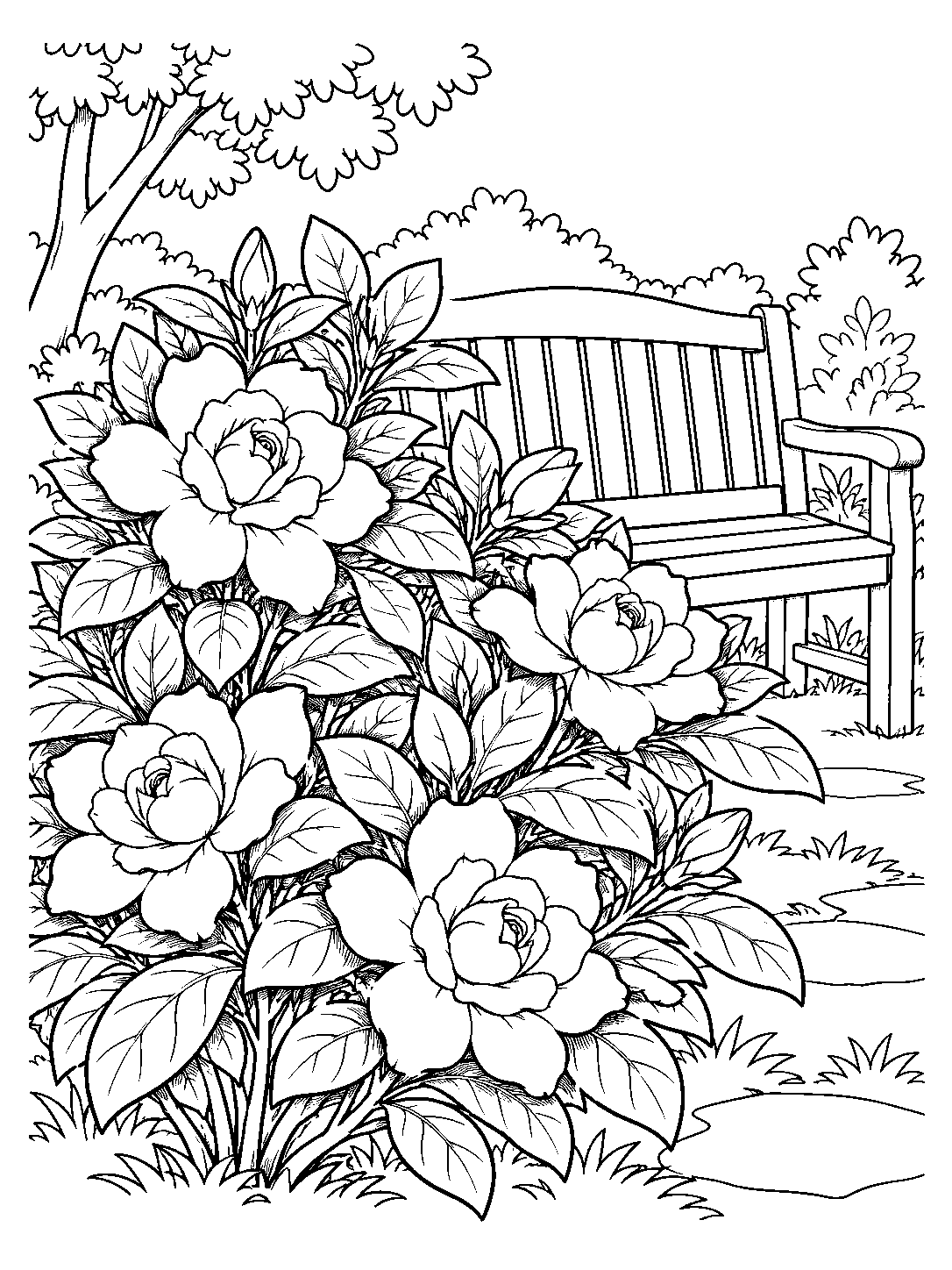 Black ink coloring page of a gardenia shrub with large blooms and leaves beside a wooden bench