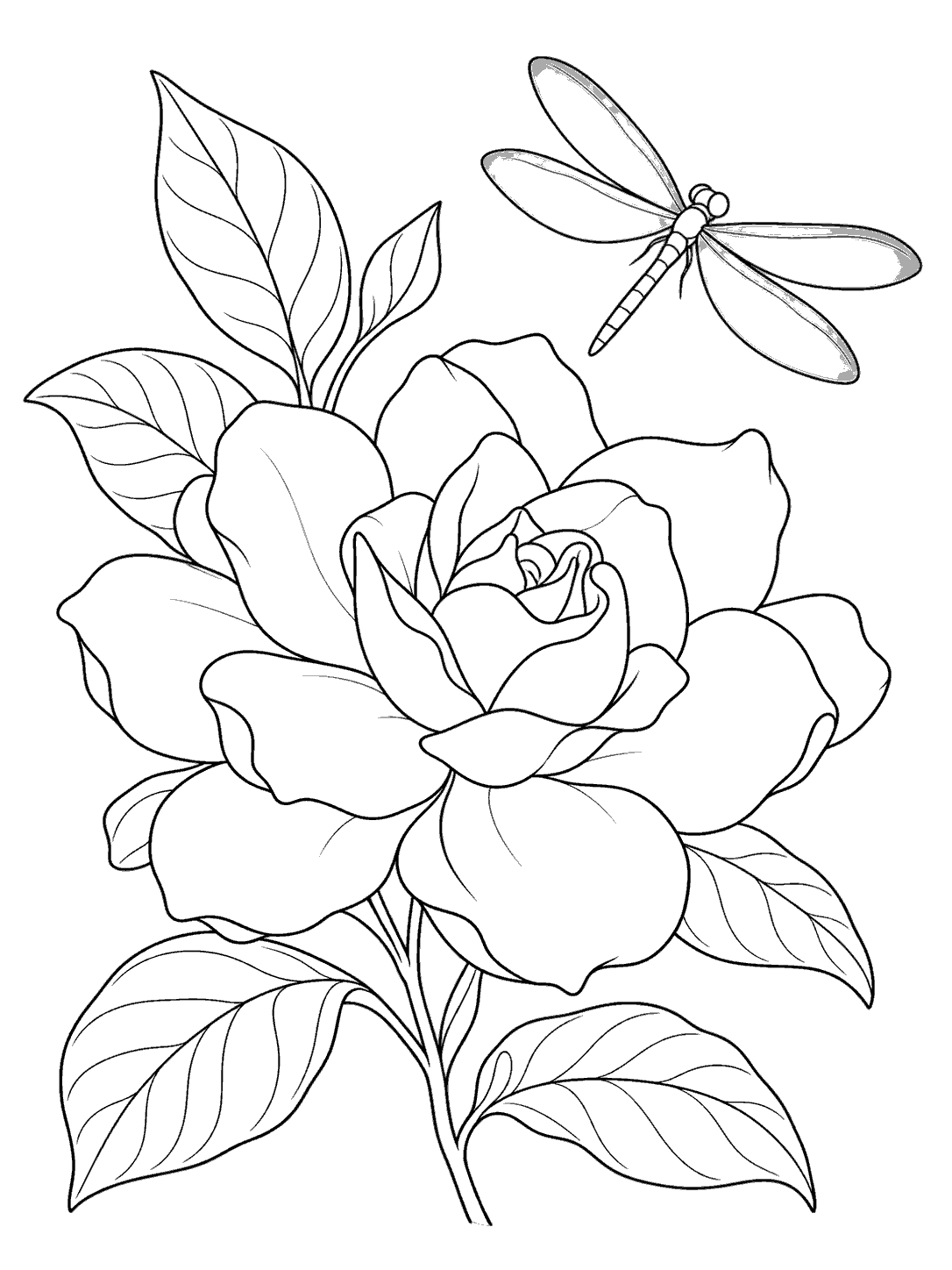 Dragonfly hovering above a large gardenia bloom with leafy stems on a coloring page.