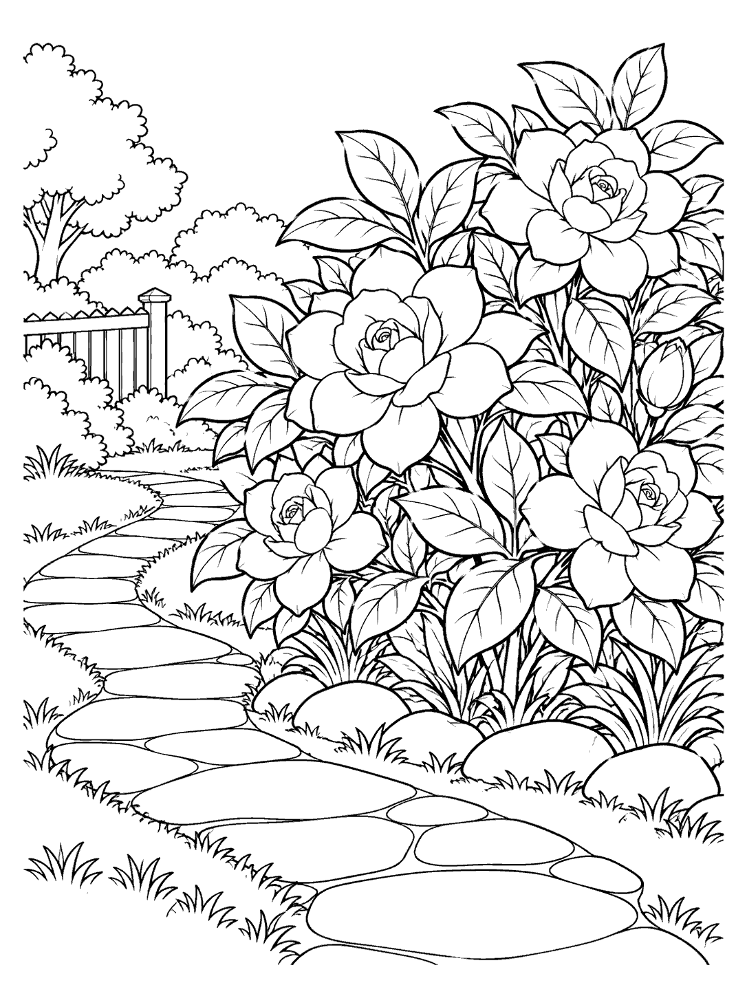Gardenia bush with several layered flowers beside a curved stone garden path coloring page