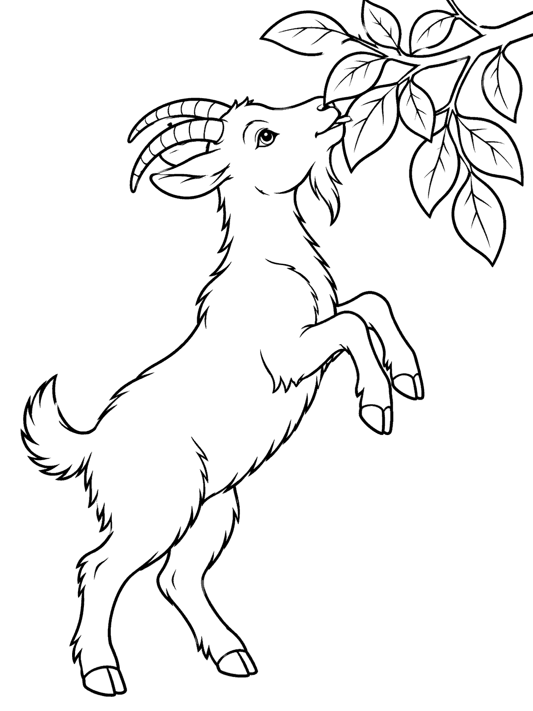 Black line art of a goat rearing up to nibble a leafy branch, with open white areas for coloring.