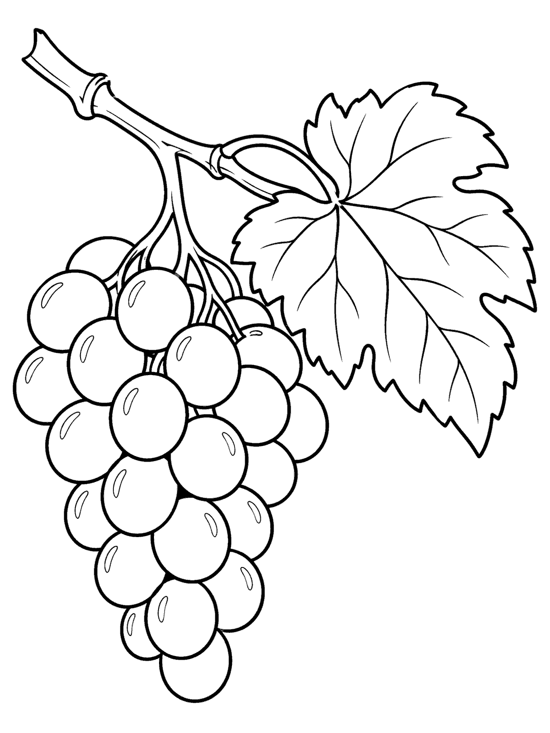 Printable grape coloring page with a diagonal vine branch, broad lobed leaf, and bunch of grapes