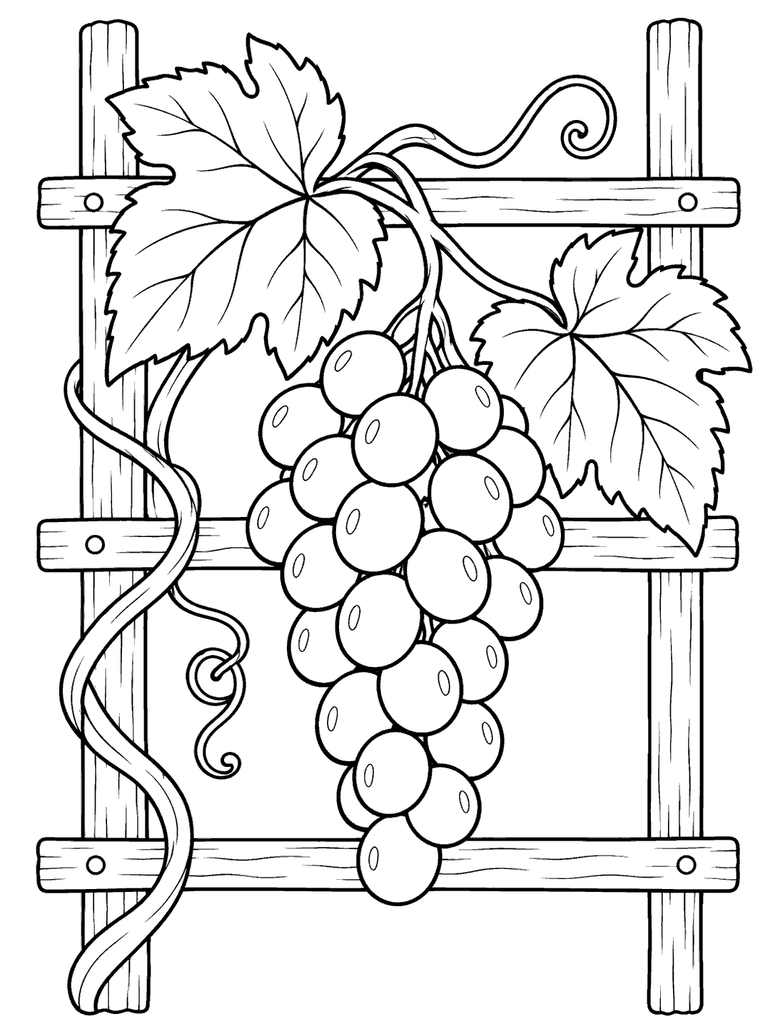 Black outline coloring page of a grapevine climbing a wooden trellis, with a central bunch of grapes, two large leaves, and curling tendrils.