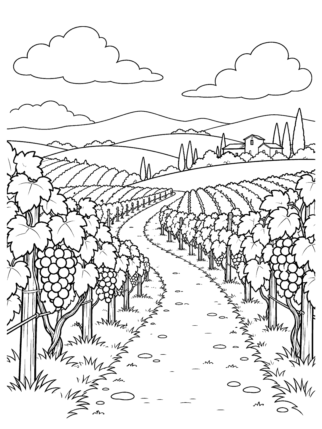 Black-and-white vineyard coloring page with grape bunches in the foreground and a winding path leading toward distant hills.