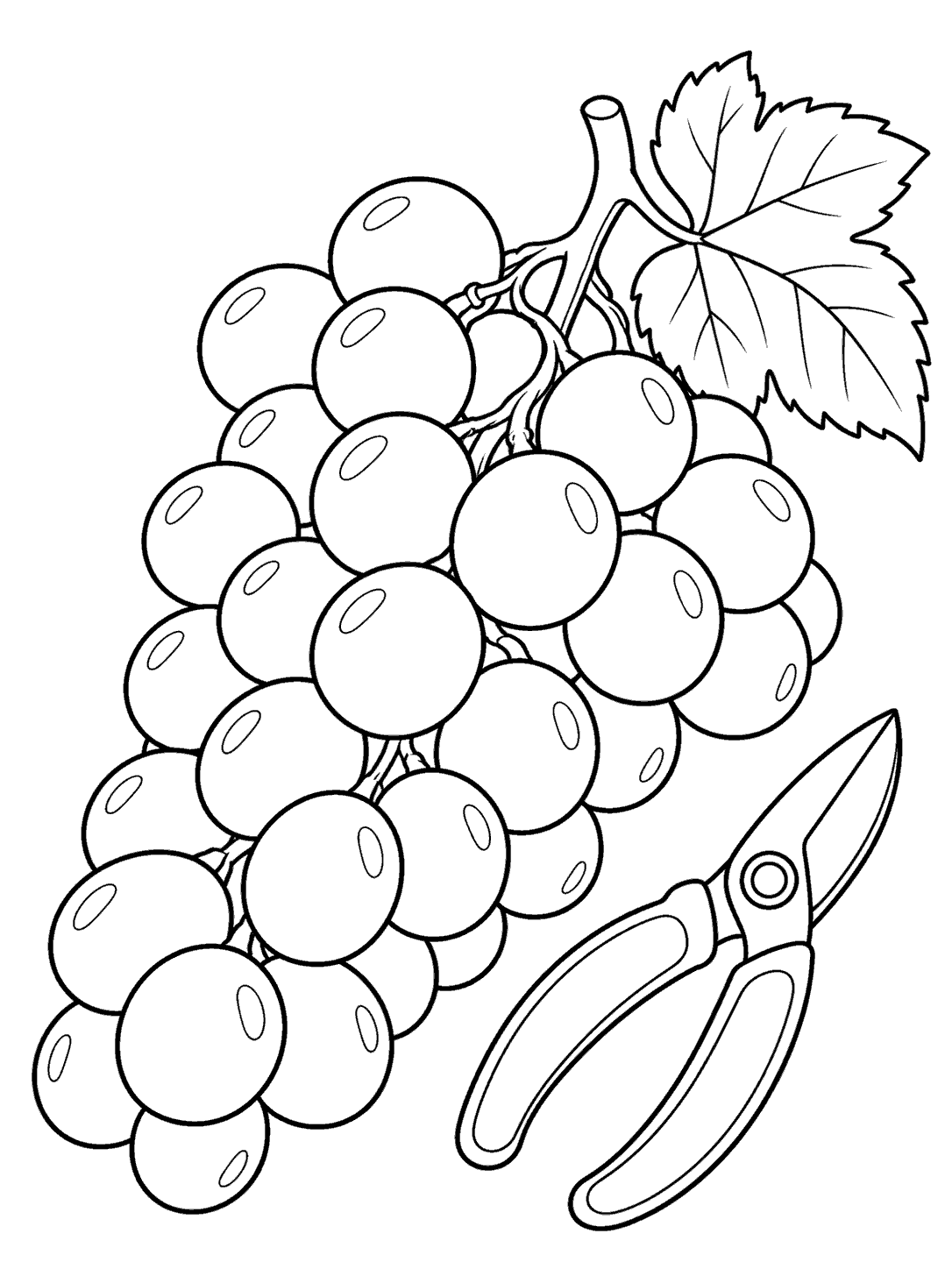A large bunch of grapes with one leaf and closed pruning scissors in a black-and-white coloring page.