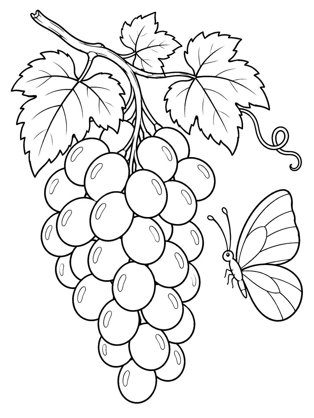 Printable black-and-white coloring page showing a butterfly beside a hanging bunch of grapes on a leafy vine.