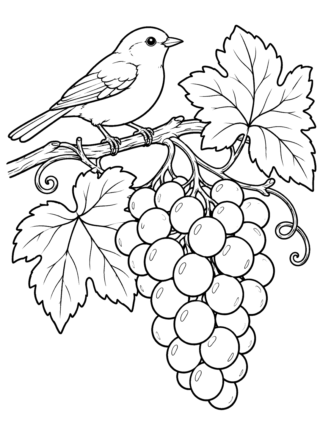 Line-art coloring page showing a bird perched on a grapevine above a large bunch of grapes with two leaves.