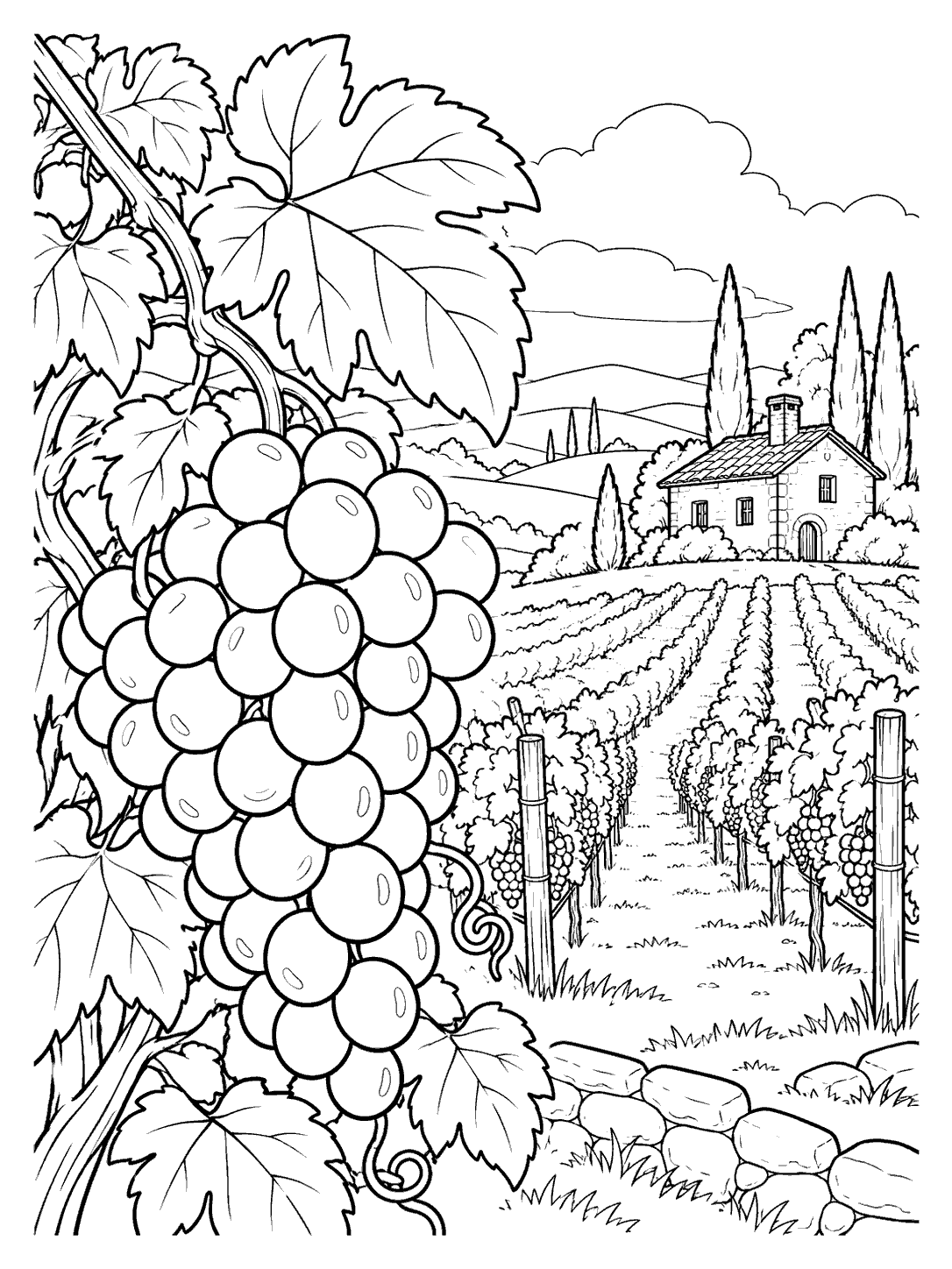 Black-and-white vineyard coloring page with a large grape bunch and leaves in front, orderly vine rows, and a cottage in the background.
