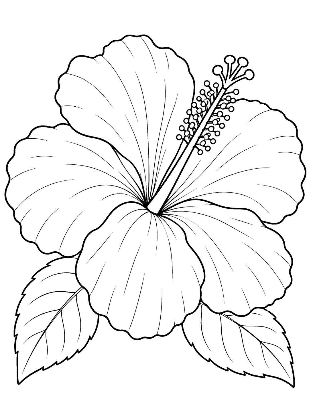 Large five-petaled hibiscus bloom with a long stamen and two leaves, drawn in black outline on white.
