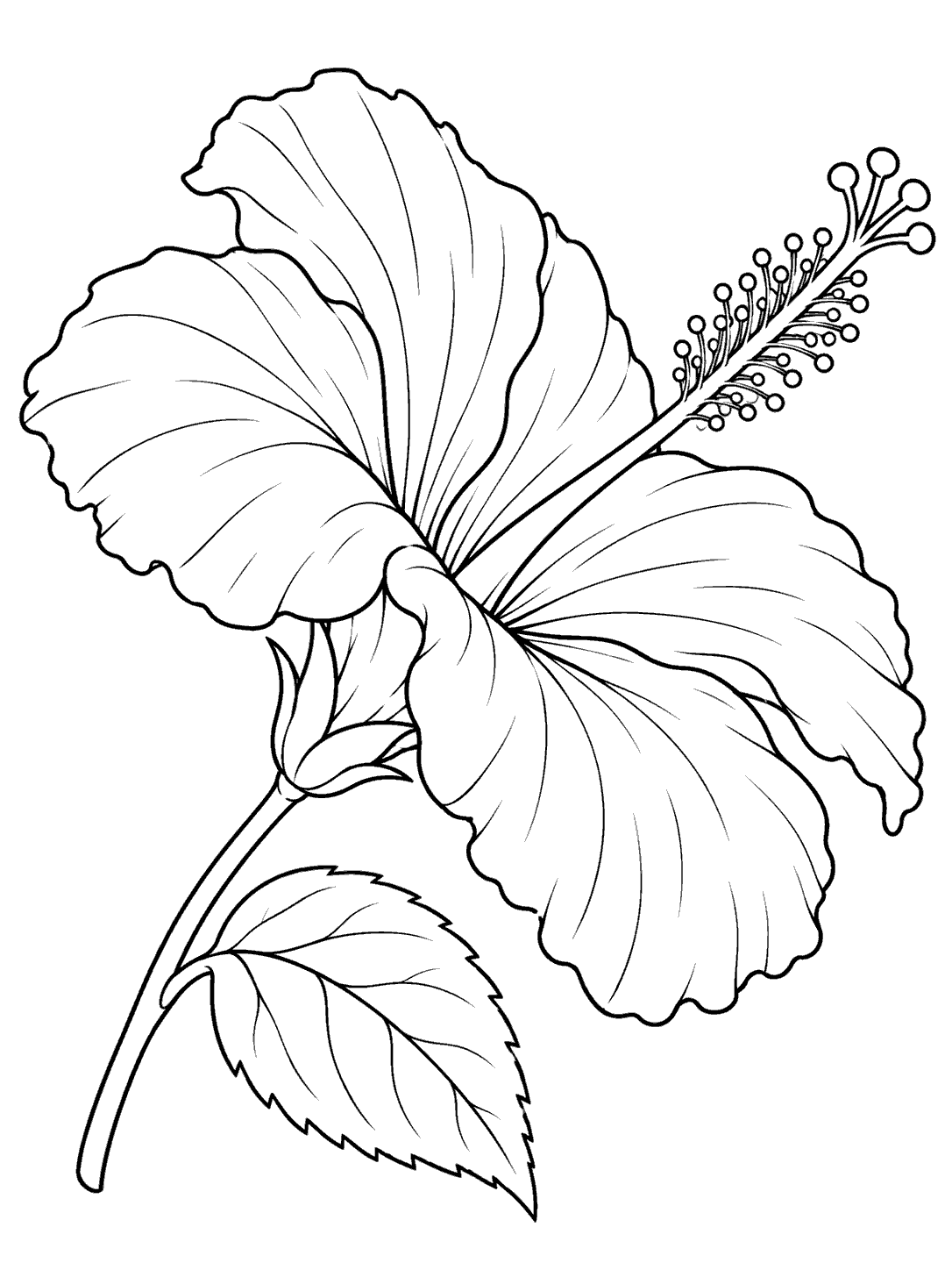 Side-view hibiscus flower coloring page with a short stem and one leaf