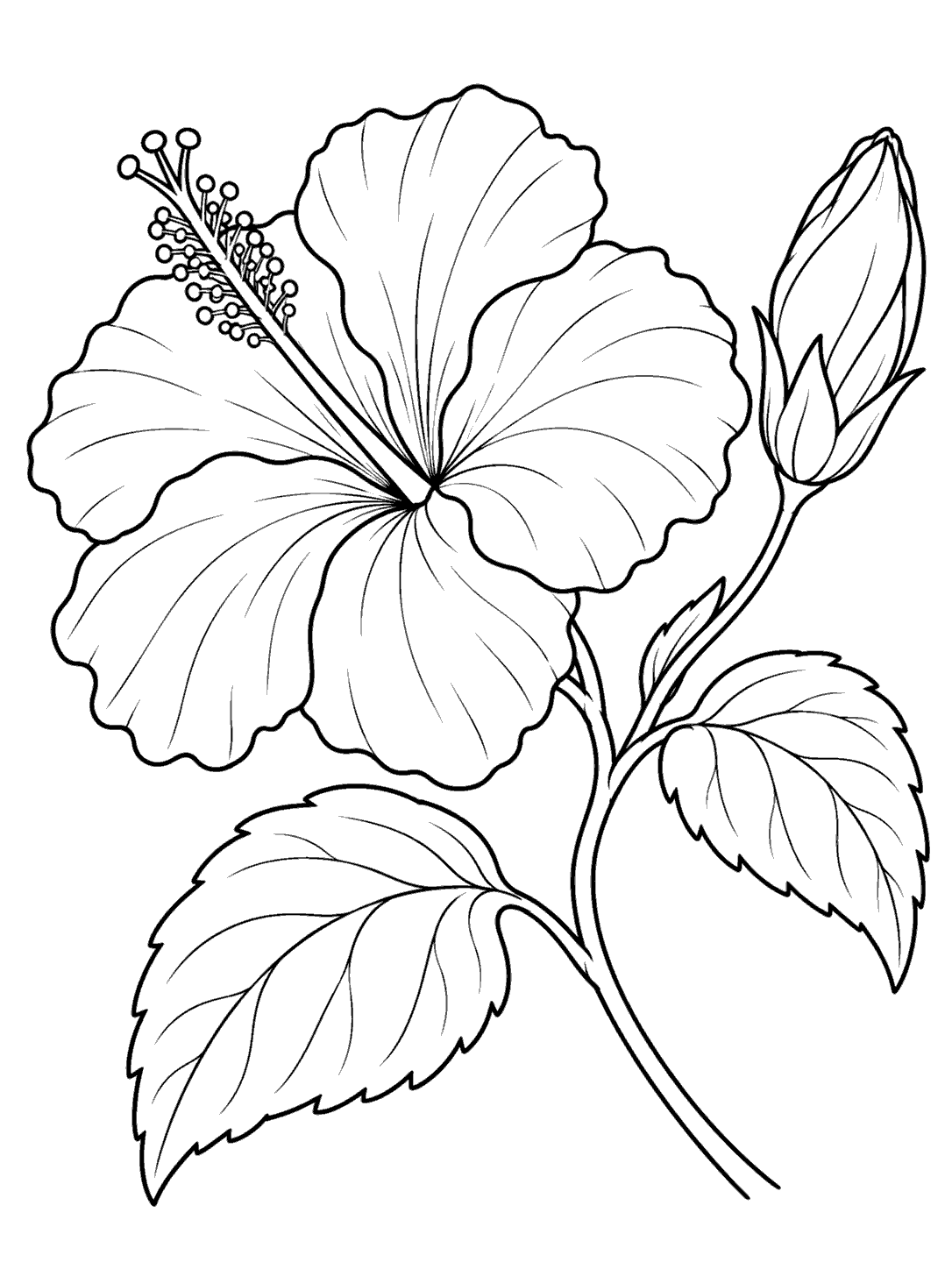 Black-and-white hibiscus coloring page with one open flower, an unopened bud, and broad leaves.