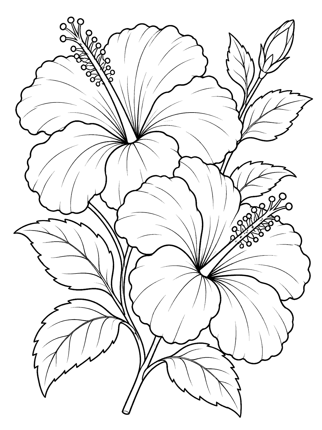 Black-and-white hibiscus coloring page with two overlapping flowers at different heights, buds, and leaves.