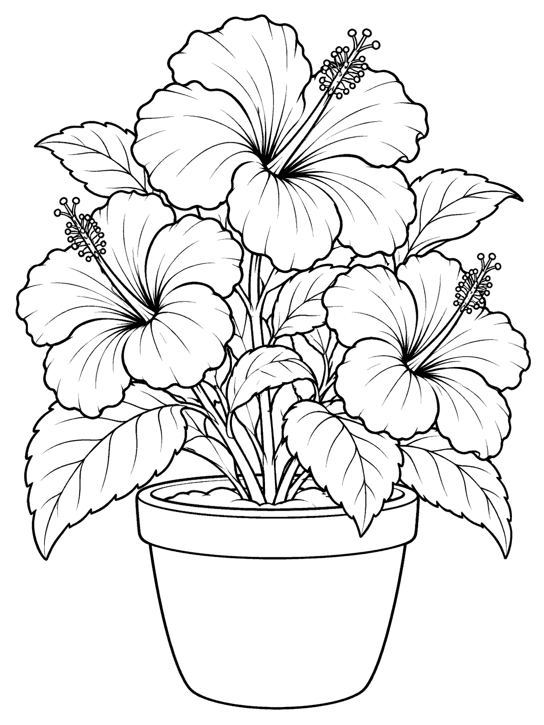 Black-and-white coloring page showing three hibiscus flowers and broad leaves in a plain rounded garden pot.