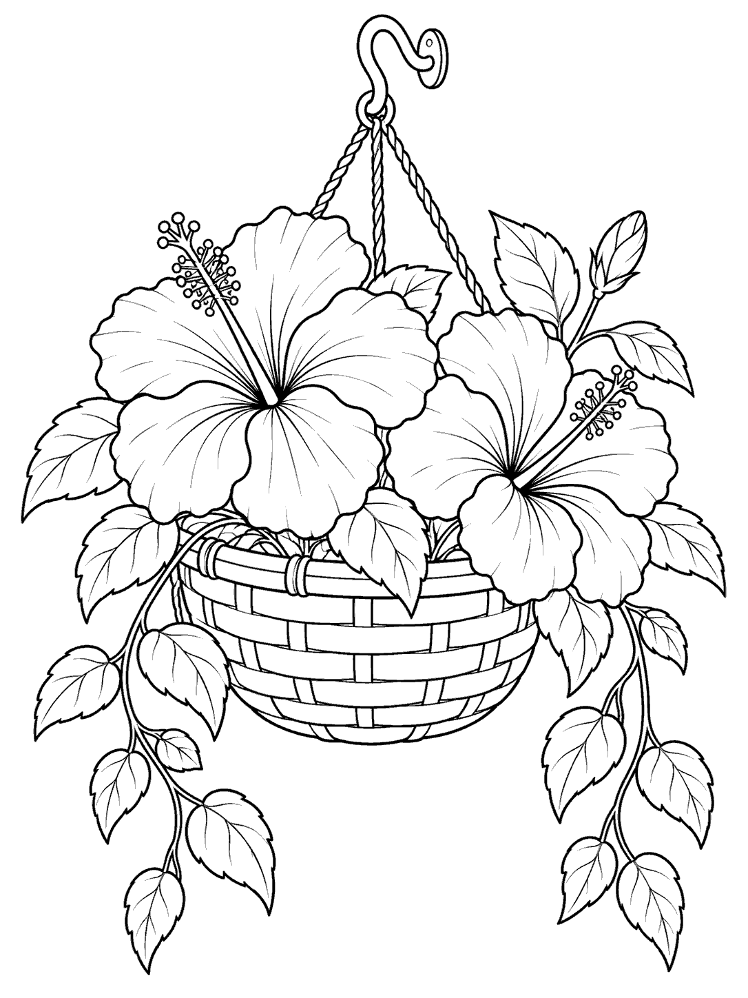 Printable black-and-white coloring page of two hibiscus flowers in a hanging basket with trailing leaves.