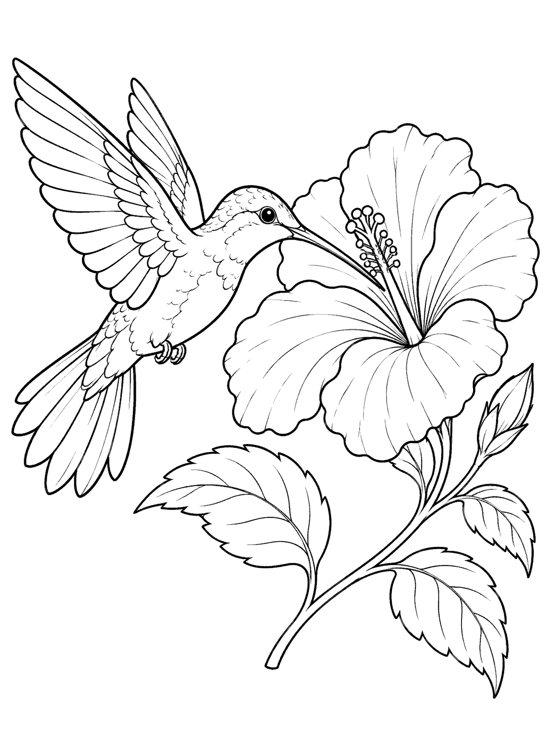 Hummingbird hovering beside a large hibiscus bloom on a leafy stem, coloring page