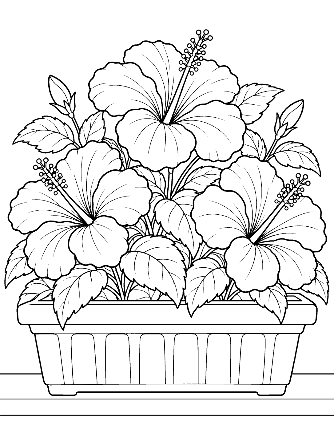 Black-and-white hibiscus coloring page showing three flowers and broad leaves in a rectangular window box on a simple sill.