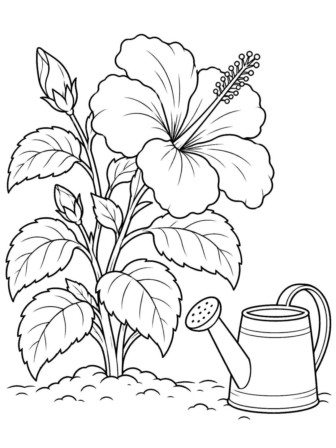 Black line art of a leafy hibiscus plant with one large flower beside a watering can on the ground.