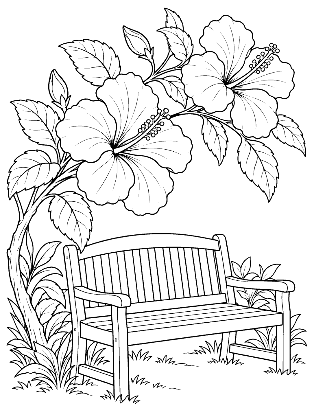 Line art of two large hibiscus flowers, leafy branches, and a slatted garden bench on a white coloring page.