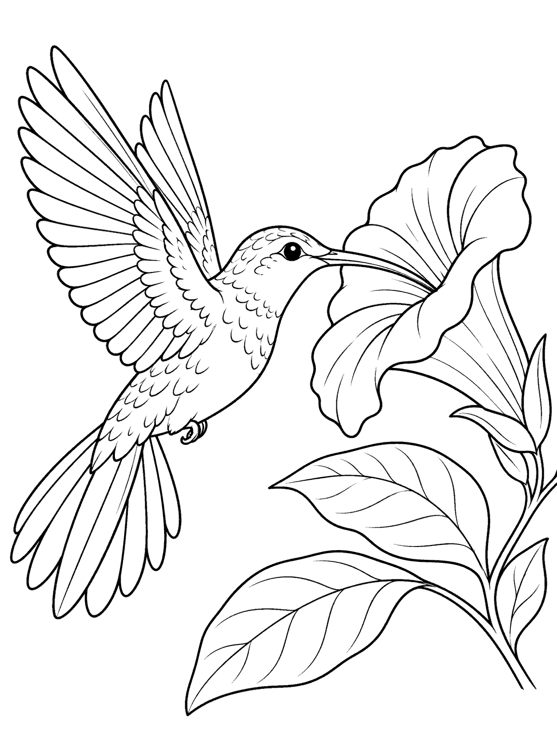 Black-and-white coloring page showing a hummingbird touching a trumpet flower with its beak, surrounded by broad leaves.