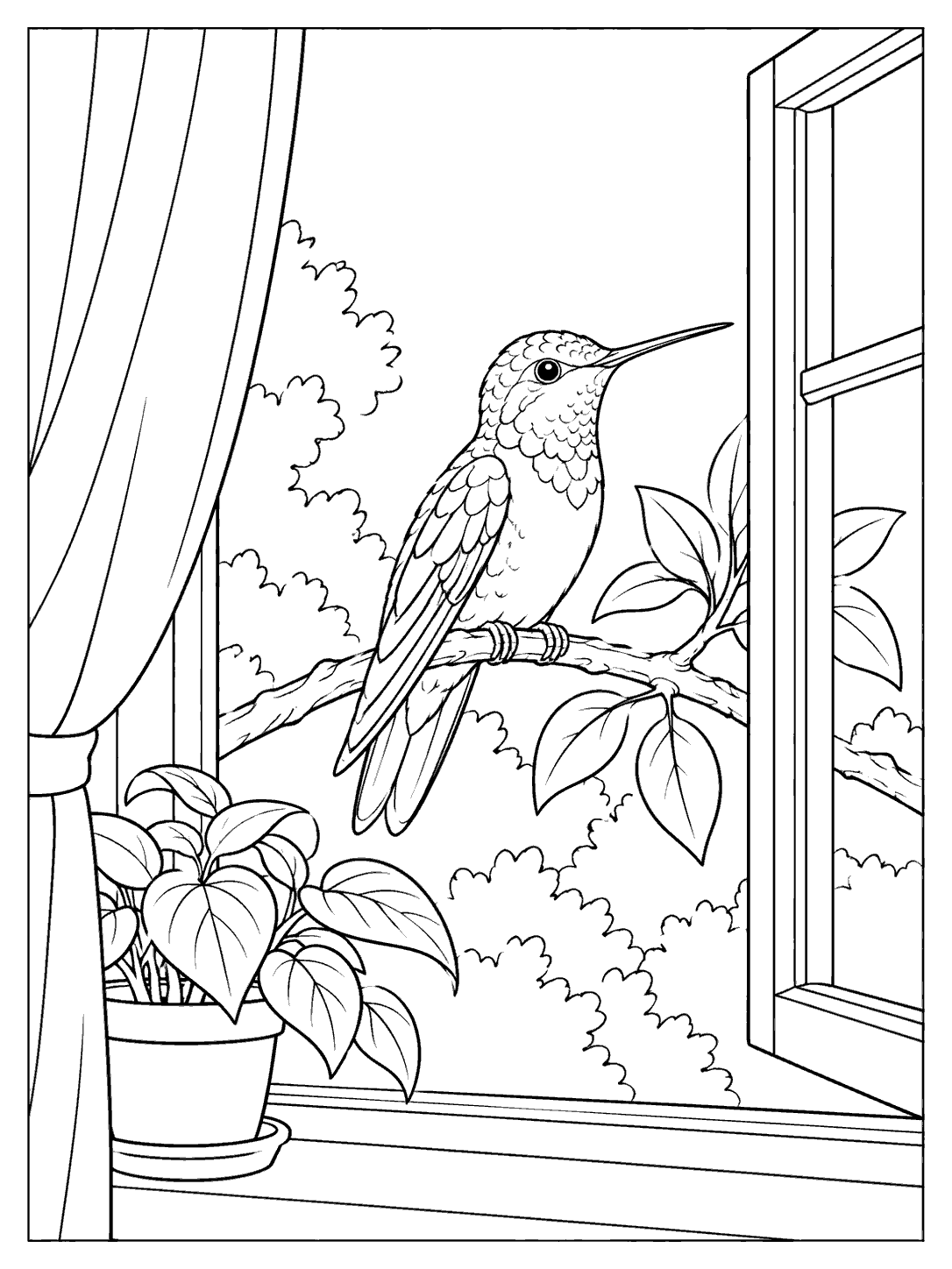 Hummingbird perched on a branch outside an open window, with a curtain and potted plant, in a coloring page
