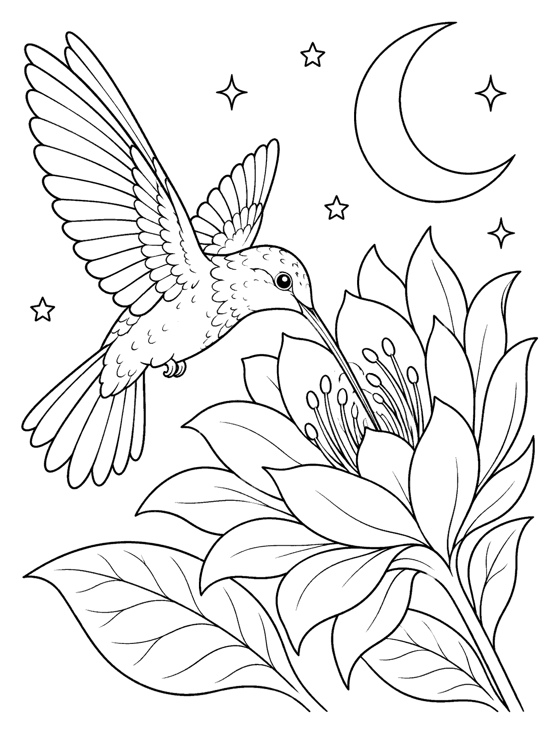 Line-art coloring page of a hummingbird hovering beside a large night-blooming flower, with a crescent moon and stars.