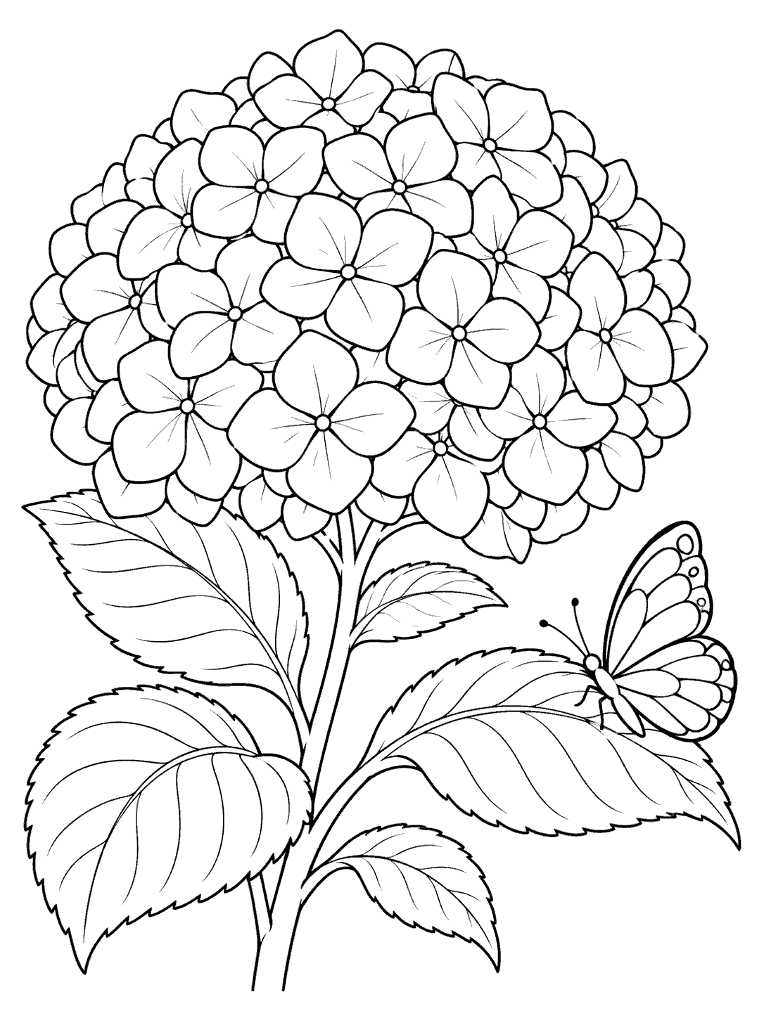 Black outline coloring page of a large hydrangea bloom, leafy stem, and butterfly perched on a leaf.