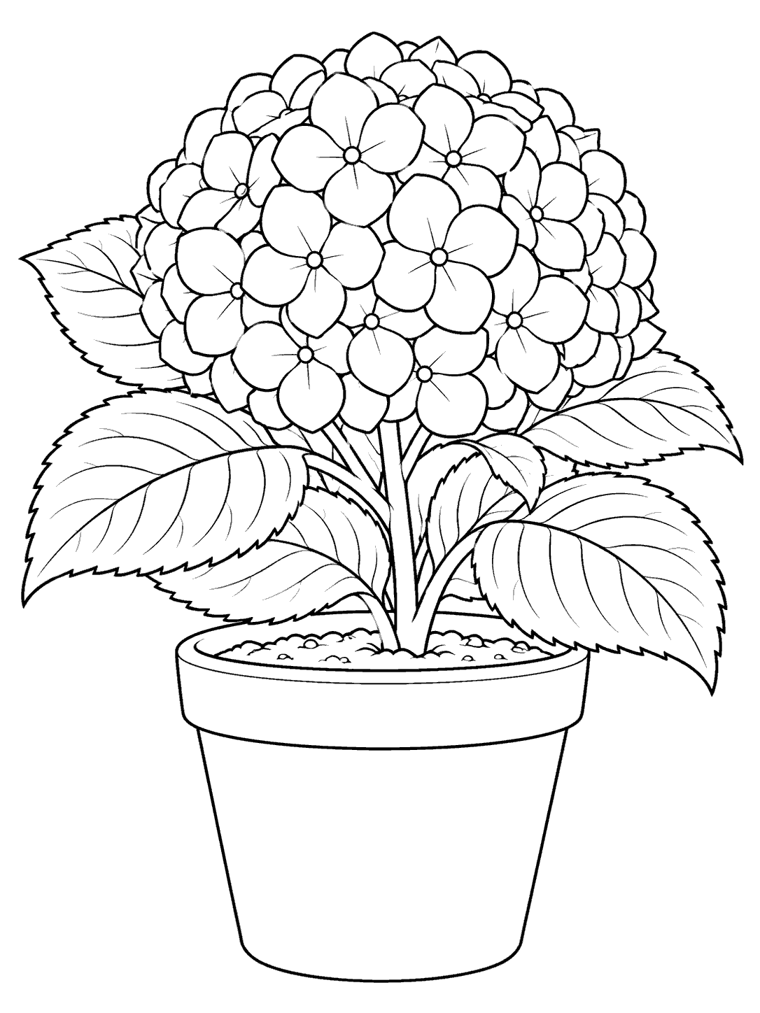 Black line art of a potted hydrangea with one large rounded bloom, broad leaves, and visible soil.