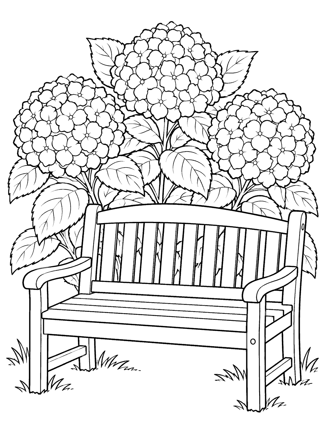 A slatted garden bench in front of a leafy hydrangea shrub with three rounded blooms.
