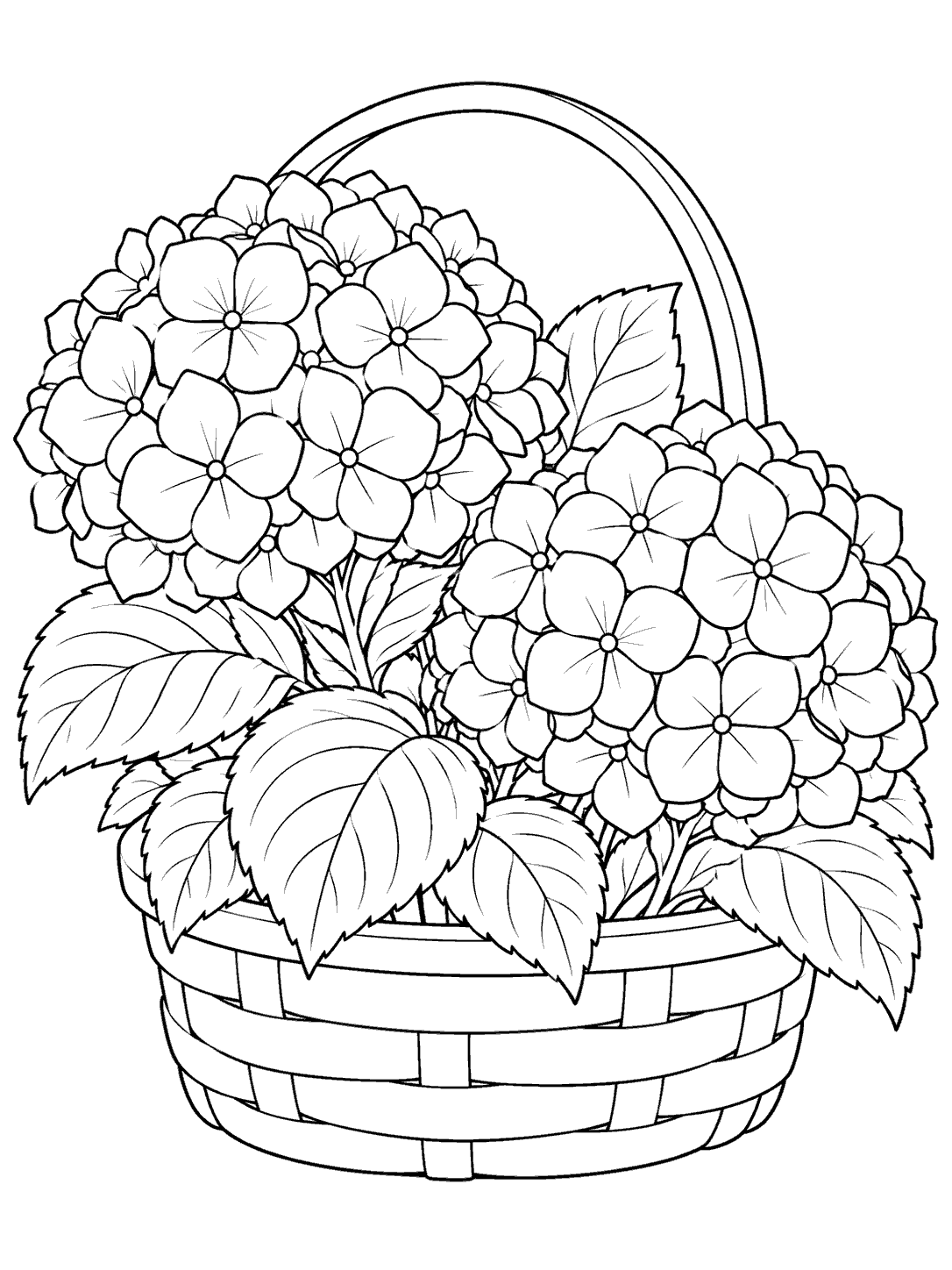 Two large hydrangea flower heads with broad leaves arranged in a low basket with a simple arched handle and wide weave bands.