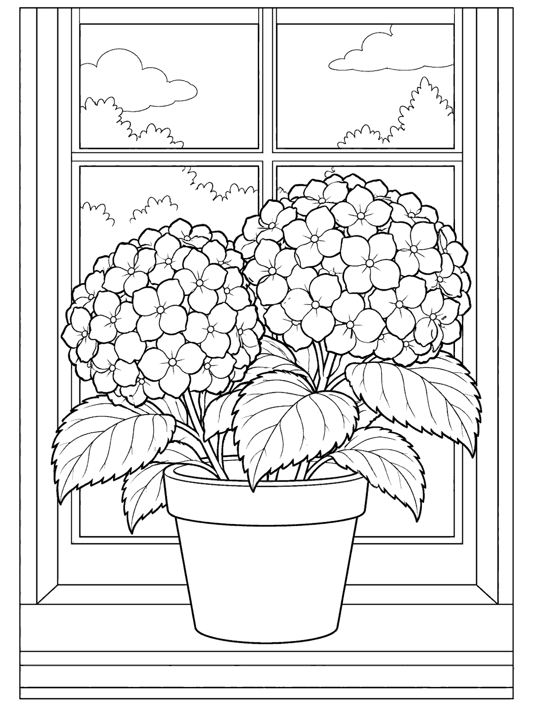 A potted hydrangea with two large flower clusters before a four-pane window with clouds and shrubs outside