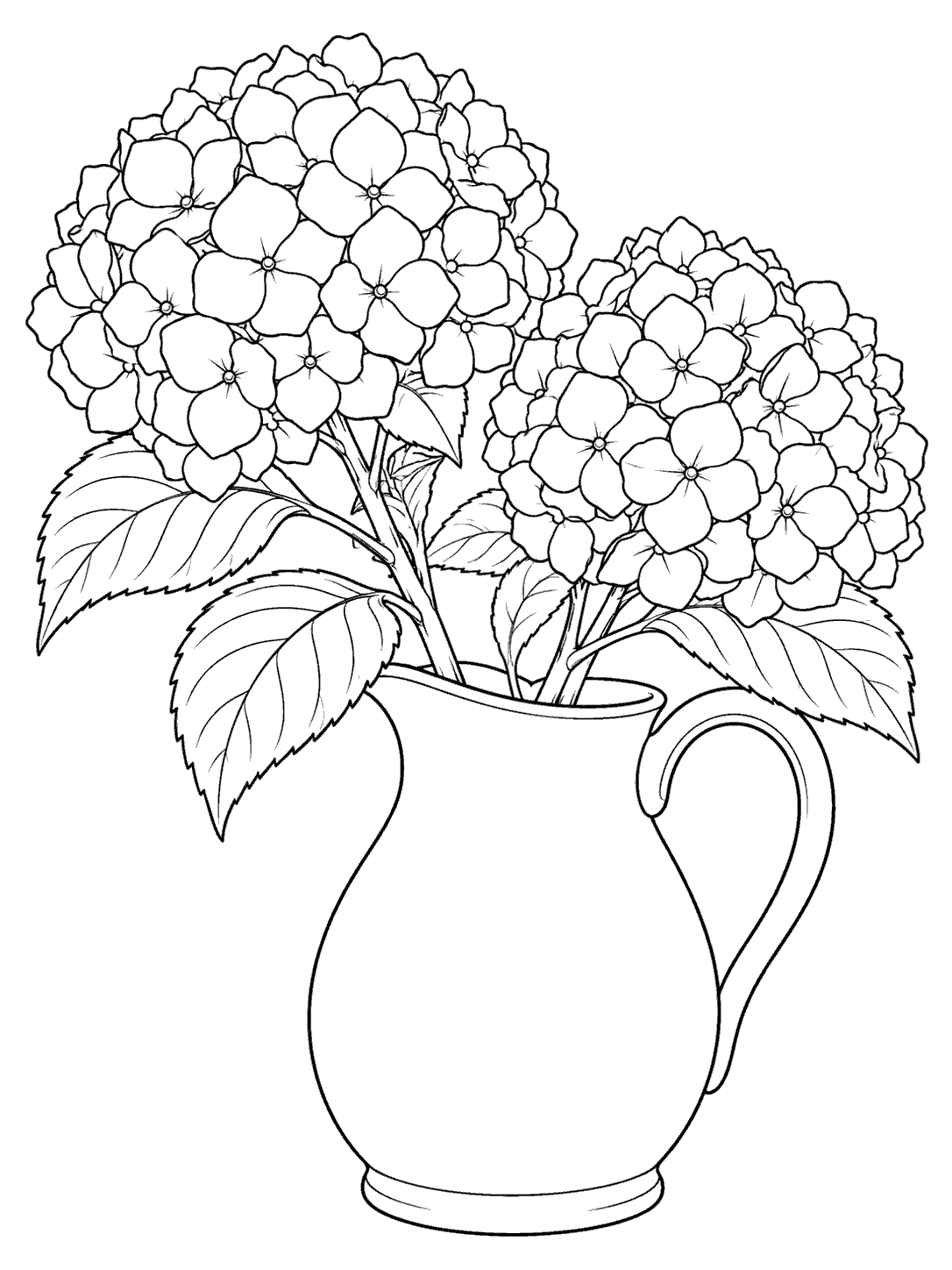 Two detailed hydrangea blooms and broad leaves arranged in a plain ceramic pitcher