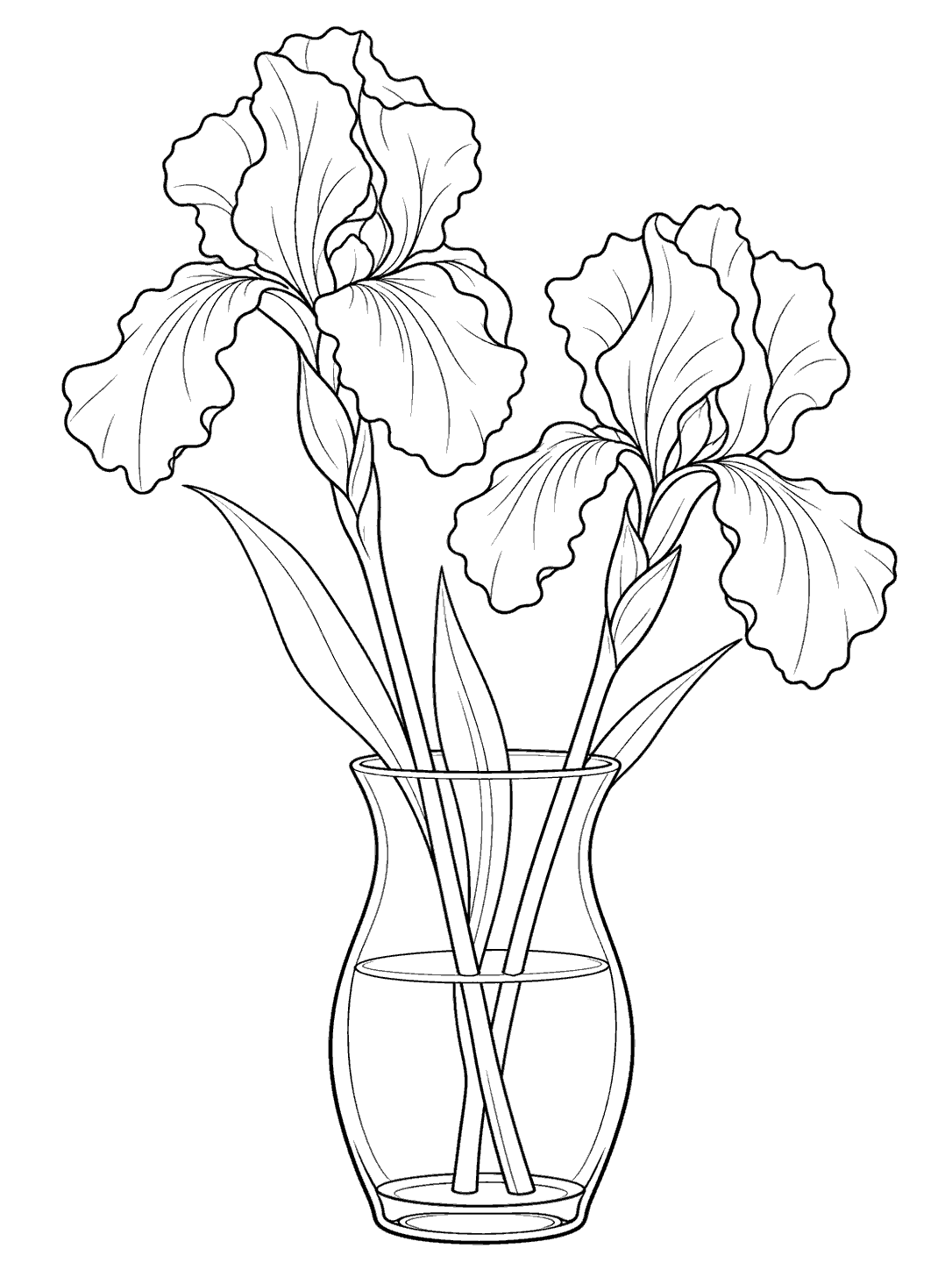 Two iris flowers with long stems and a few leaves arranged in a glass vase.