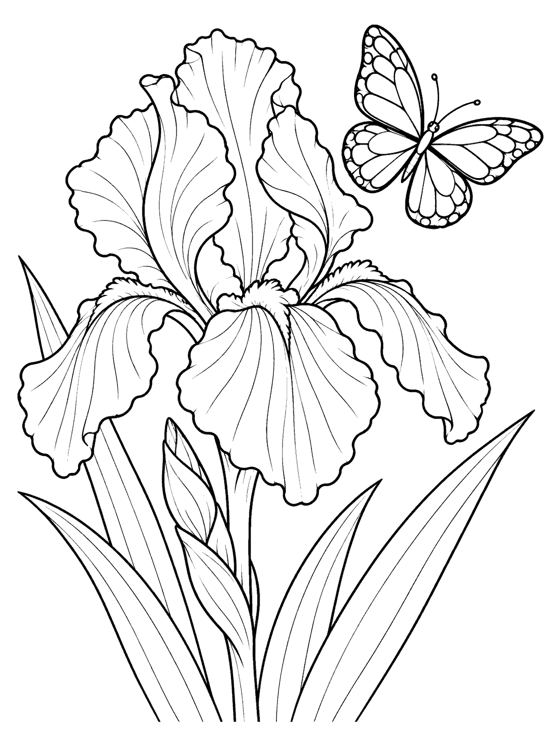 A large outlined iris bloom with leaves and a patterned butterfly hovering nearby.