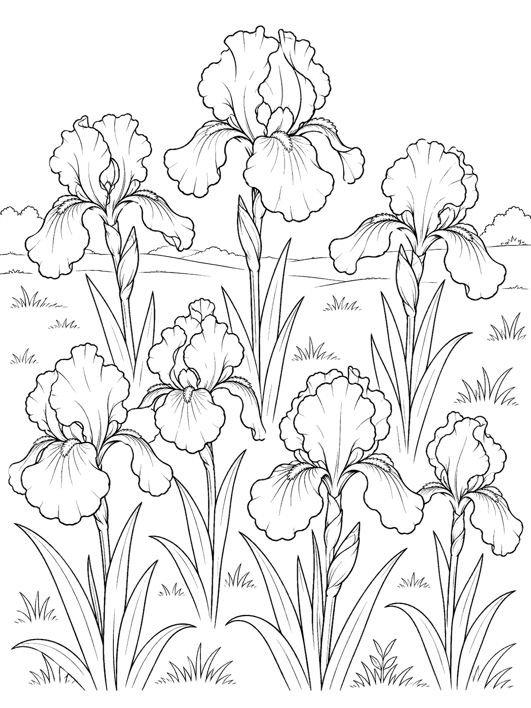 Seven outlined iris blooms at varied heights, with grasses and a low horizon.