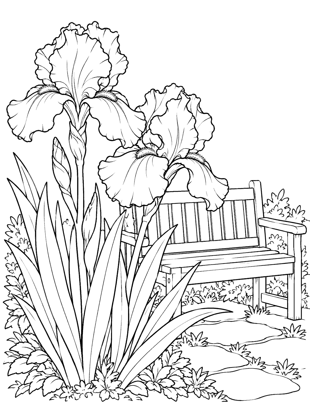 Two large iris blooms and long leaves beside a slatted garden bench, with stepping stones and garden foliage.