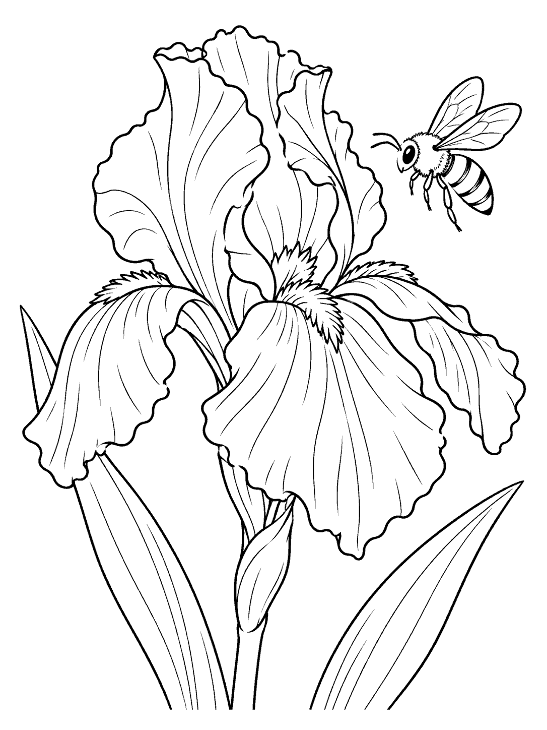 A striped bee approaches an open iris flower with two long leaves.