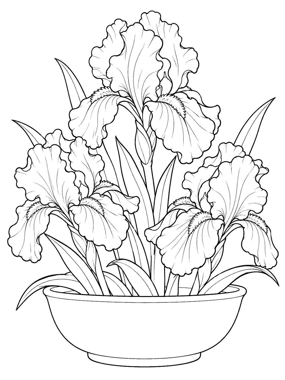 Compact iris arrangement in a low bowl