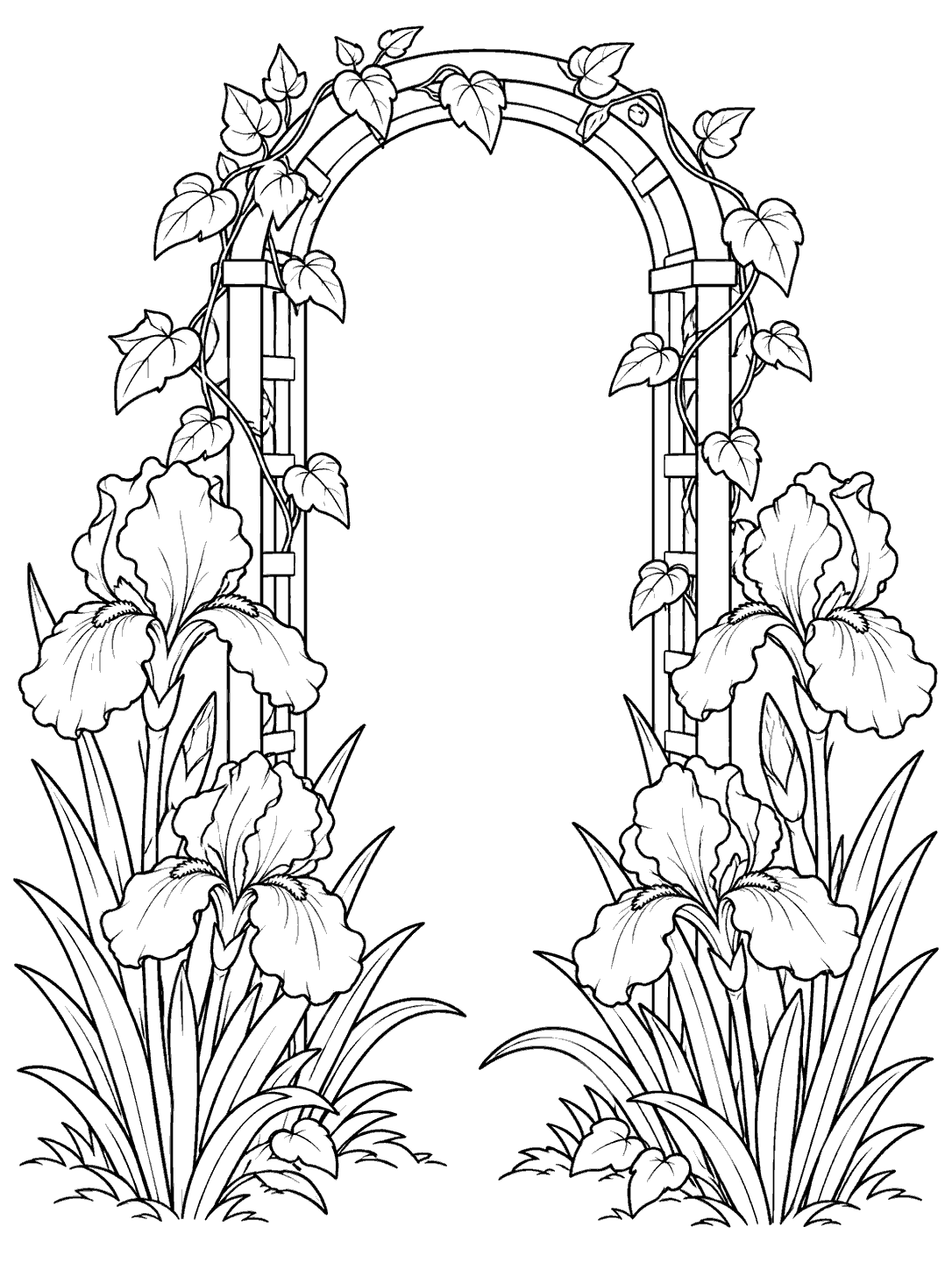 Four iris blooms, two on each side, framing an open garden arch with climbing leaves