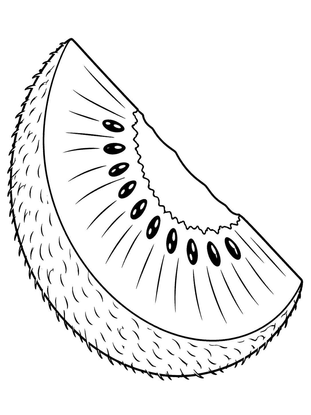 Black-and-white coloring page of a large kiwi wedge with textured peel and a curved row of seeds