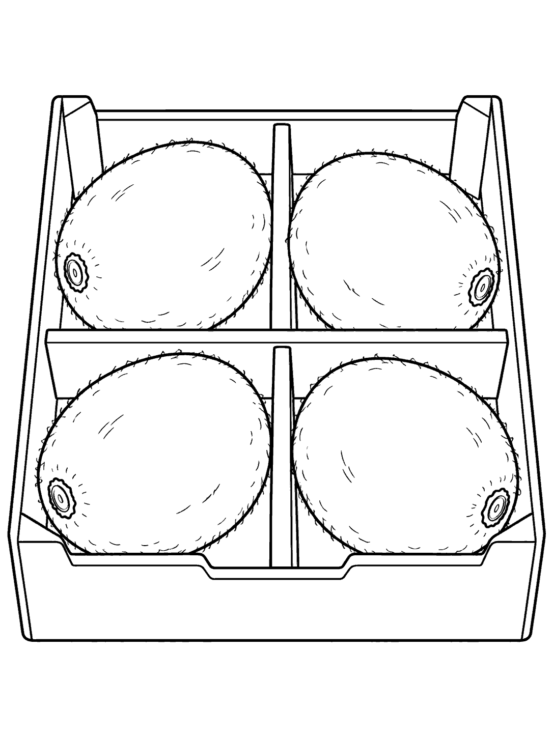 Four oval kiwi fruits arranged in a divided produce box coloring page.