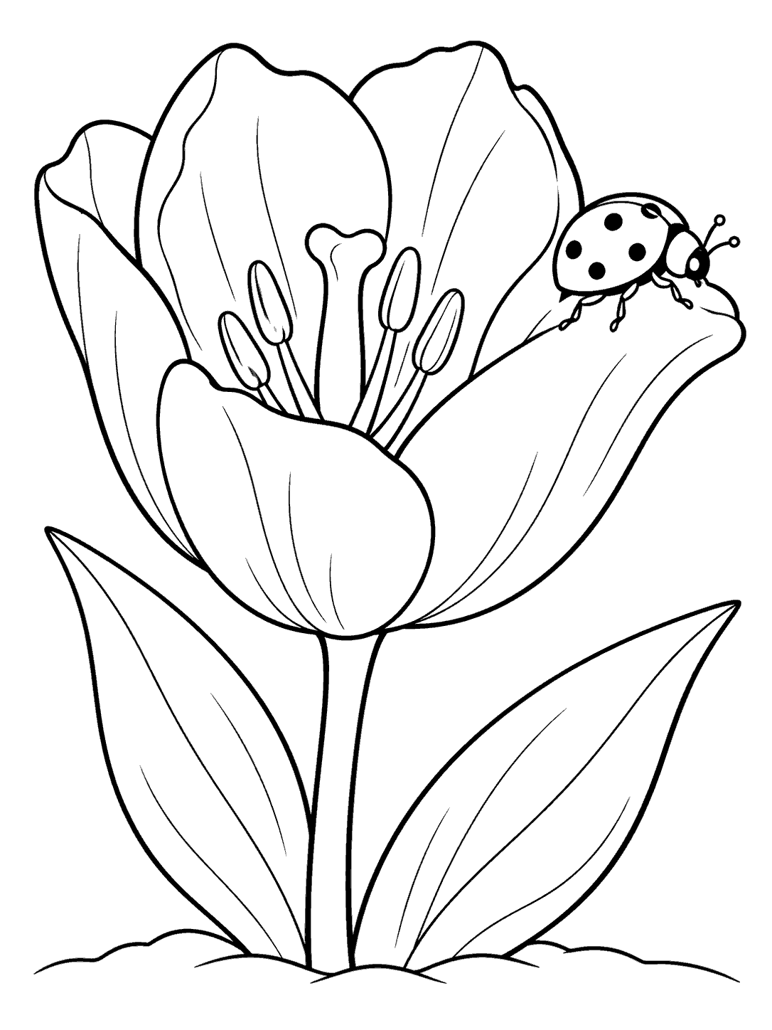 Black and white coloring page showing a ladybug perched on an open tulip above two broad leaves and a simple ground line.
