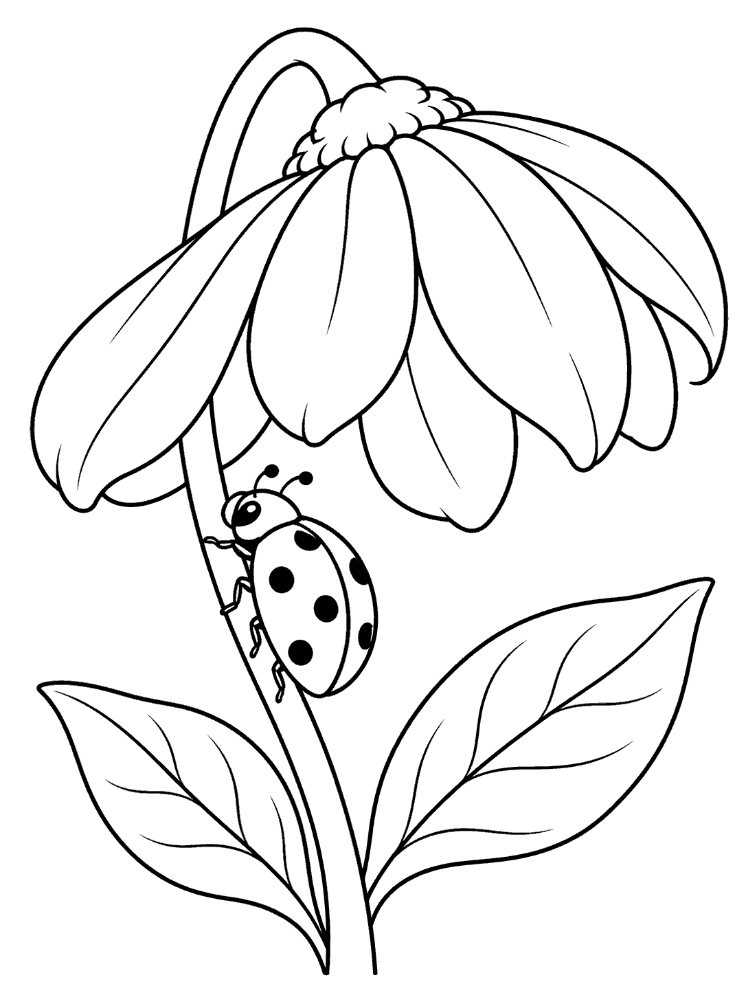 Black-and-white coloring page of a ladybug on a flower stem beneath a large bloom, with two leaves.