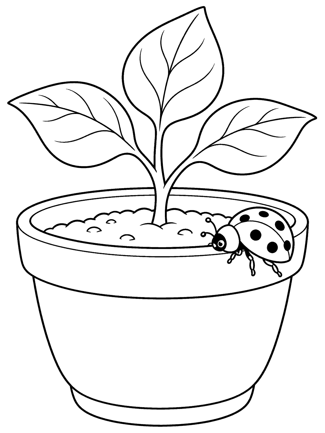 Black-and-white coloring page showing a spotted ladybug on a flowerpot with a three-leaf sprout.